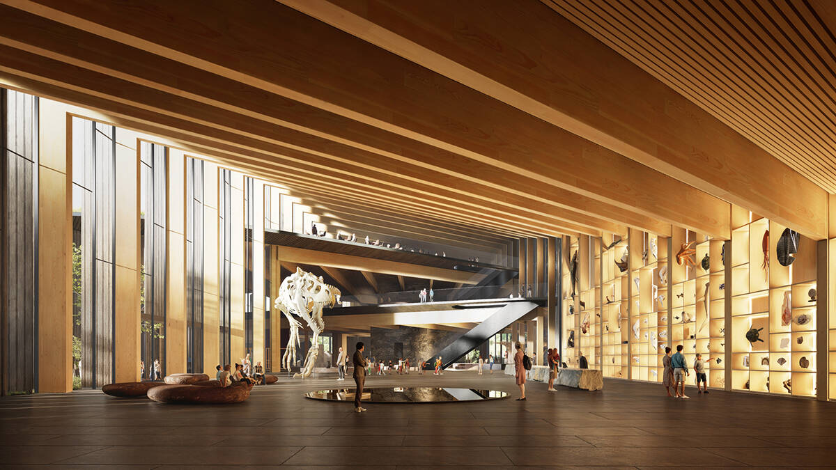 BIG hé lộ thiết kế cấu trúc gỗ cho Bảo tàng Lịch sử Tự nhiên Hungary tại Debrecen